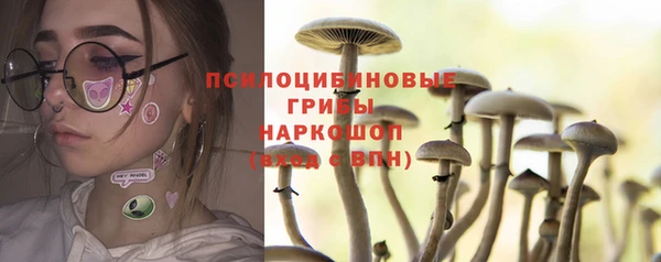 дживик Каменногорск