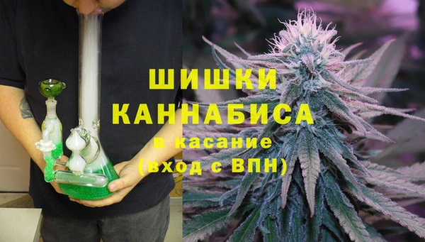 дживик Каменногорск
