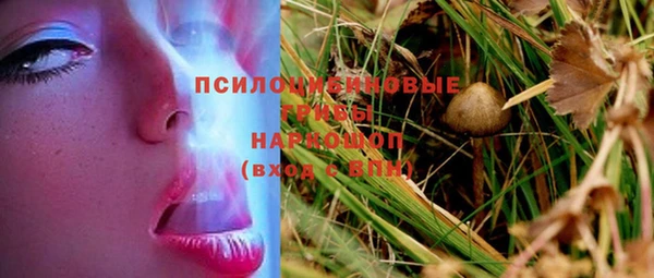 круглые Каменка